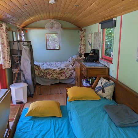 Rosa The Cosy Cabin - Gypsy Wagon - Shepherds Hut, River Views Off-Grid Eco Living Pedrogao Grande Exterior foto