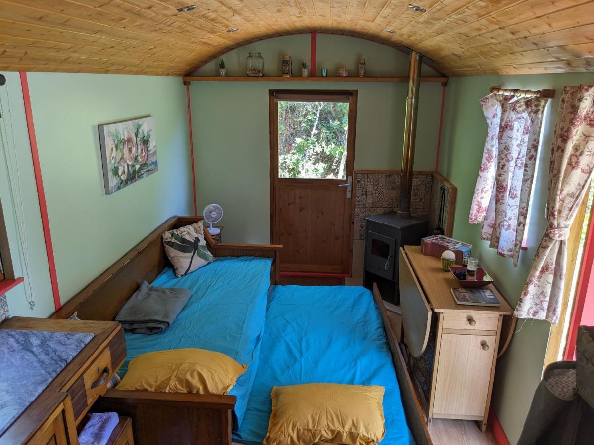 Rosa The Cosy Cabin - Gypsy Wagon - Shepherds Hut, River Views Off-Grid Eco Living Pedrogao Grande Exterior foto